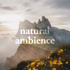 Natural Ambience