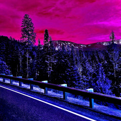 landed - vampleek (le vieux)