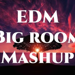 List BigRoom EDM VOL.12 (34 Mashup Pack )(free Download)