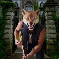Mr Fox