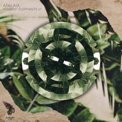 AtalaiA - I Can See The Light In Your Eyes