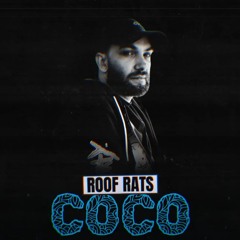 Roof Rats - COCO