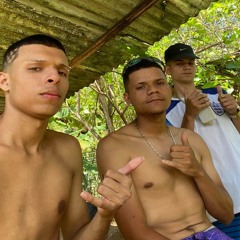 MT - CRIMINALIDADE DA TRP DO PL