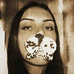 Lurkie Loophole - mix 2025