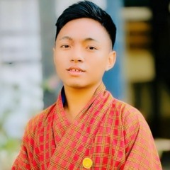 HINDI MASHUP || Dorji Nima Yoezer-DeNeY || Mp3 ||