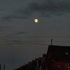 Your Kindness (Radio Edit)