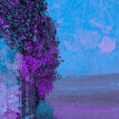 Ambient interval 001