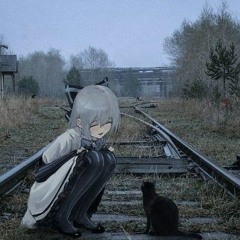 Emergency Cat Photos!