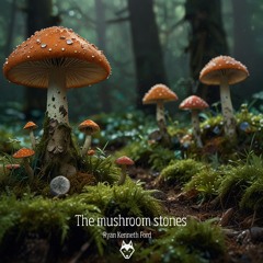 Mushroom - Stones