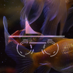 XXV - Incognito_submerge_w. Nacho_ Carbajal