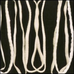 WORM