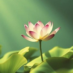 Eternal lotus (chorus chant)