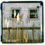 Artwork for To Build A Home (Radio Version)
