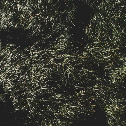 Let The Wind Blow And Go On Your Way