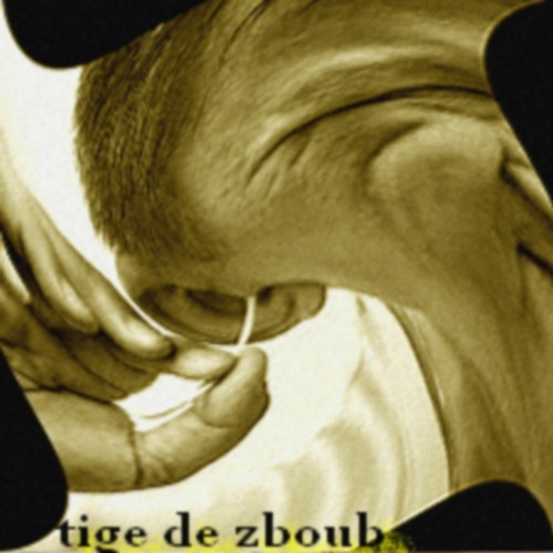 tige de zboub
