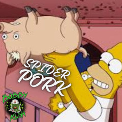 SPIDERPORK