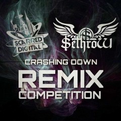 SethroW - CRASHING DOWN (STUFFED ANIMAL REMIX)