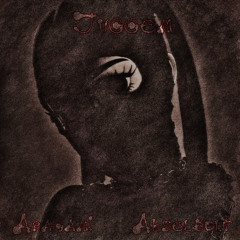 Akselbolt x Aragami-JUGGEM