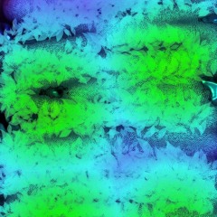 seedlings to sprouts