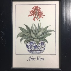 Dexter Season 5 (Free Download)