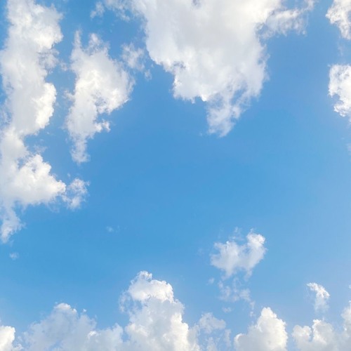 in flight, entertainment