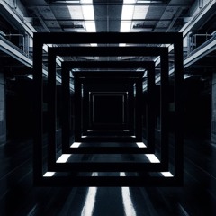 Mirrored Reality