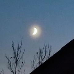 Mayorova - Твої тату