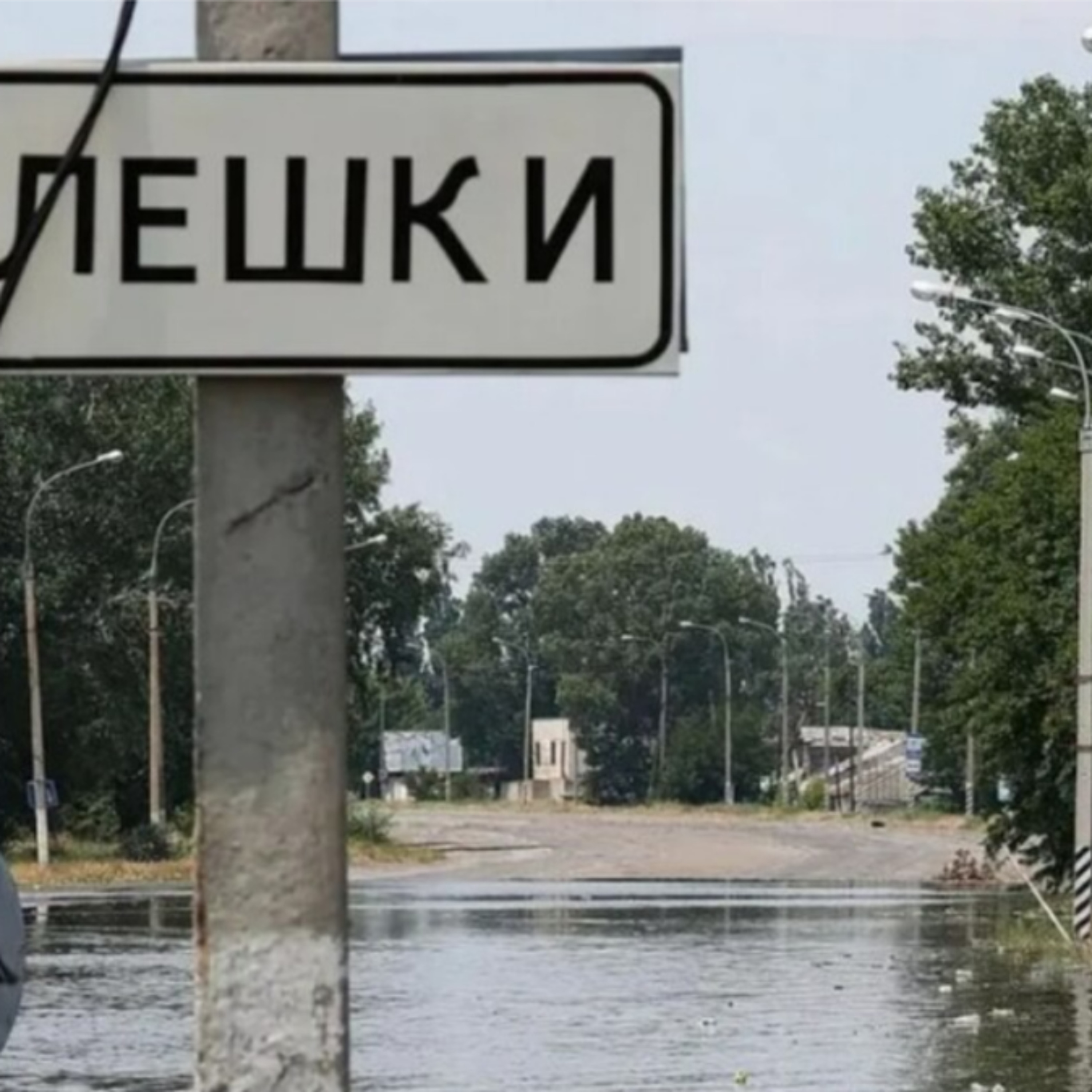 Заміновані поля і полювання дронів: як росіяни перекрили доступ до Олешків