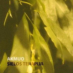 Akmuo - Terapija 6 (feat. VS)