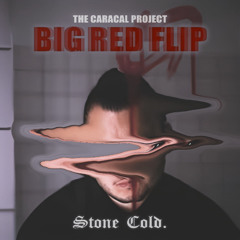 The Caracal Project - Stone Cold. (BIG RED FLIP)