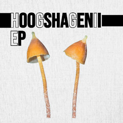 Hoogshagenii ft Alan Rockefeller