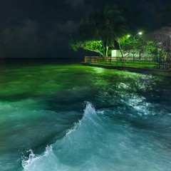 untiljapan - life i chose [vanni]