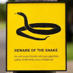 Beware of The Snake