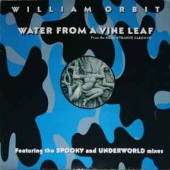 Water From A Vine Leaf (xylem Flow Mix )spooky