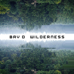 BAV D - WILDERNESS