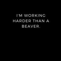pdf i'm working harder than a beaver.: lined notebook , write down your th