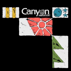Live at Canyon Vibration 2024