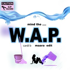 Cardi B - Mind The WAP (Maara Edit)