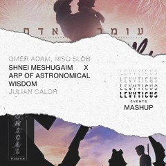 Shnei Meshugaim X Arp Of Astronomical Wisdom (LEVYTICUS Events Mashup)Omer Adam עומר אדם שני משוגעים