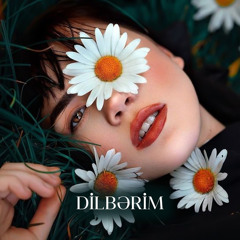 Dilbərim (Remix)