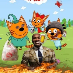 три кота(Mr.kud—kuda)