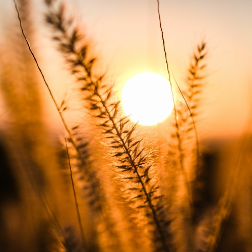 Depth Of Your Gaze (Unofficial)