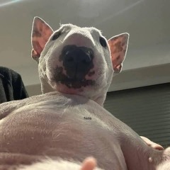 Baby shark - SalRemix