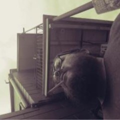 Isssa Hard Life ver. A scratch (šuniukas)