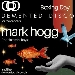 Sam Flanagan Demented Disco Boxing Day 2024