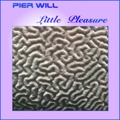 Little Pleasure_2 - Remastered