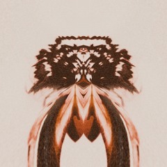 Sun Yehoshua - Insane