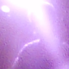 狐 live