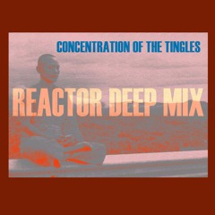 H8R - CONCETRATION OF THE TINGLES (REACTOR REMIX)