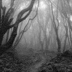 We See Planets - Random Forest